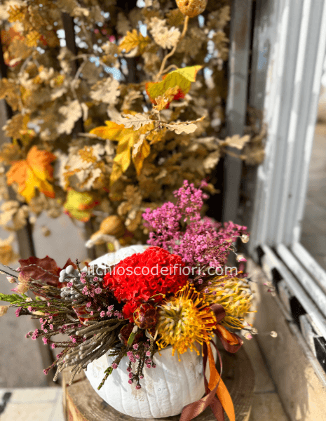 Zucca autunnale small
