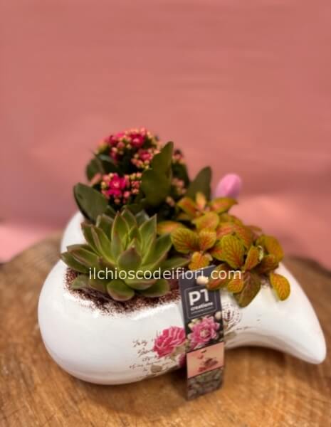 Cuore ceramica piante
