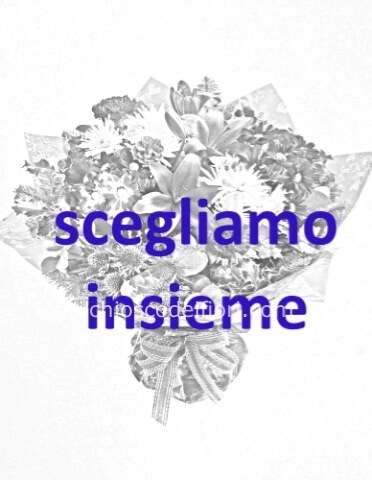 Omaggio da concordare a telefono al 3386272635